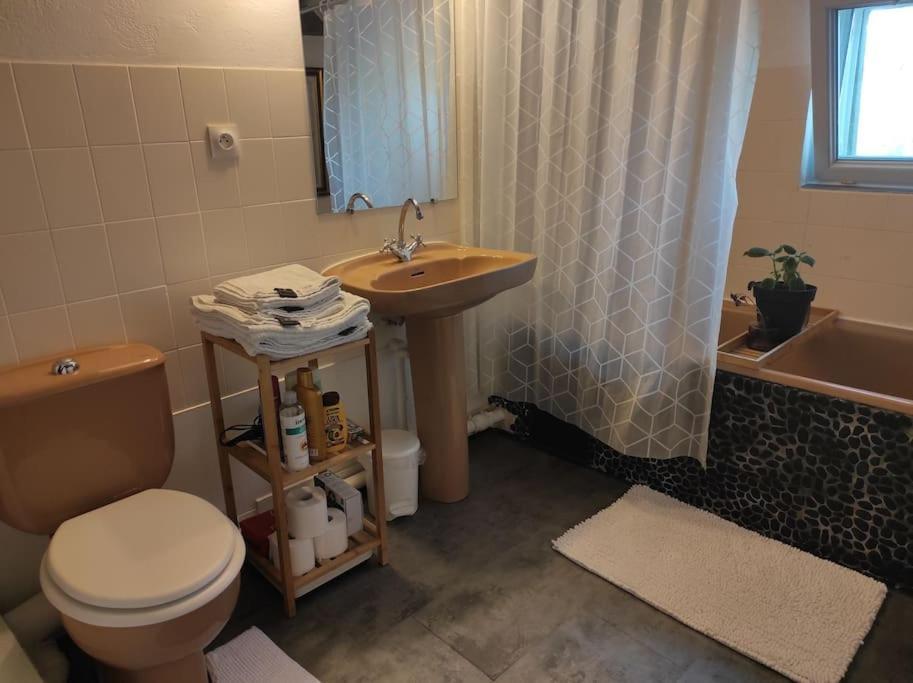 Appartement De Charme Coeur Historique Périgueux Buitenkant foto